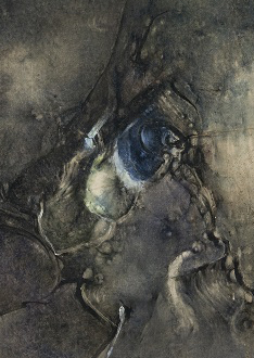 “UCHU⼀From COSMOS” Exhibition will be held from Dec.14.